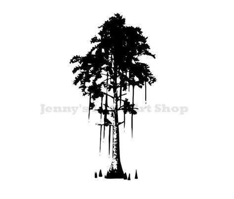 Cypress Tree Swamp Graphic Vector and PNG Instant Download - Etsy