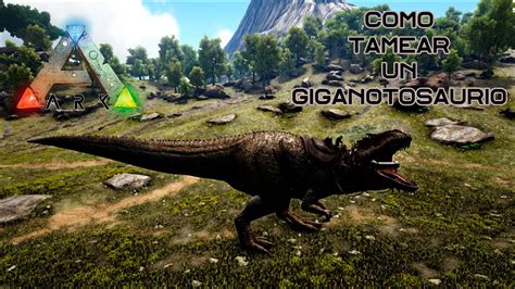 Como tamear un Giganotosaurio SOLO de manera fácil y rápida En Ark