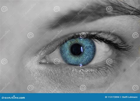 Black And White And Blue Eye Stock Photo Image Of Woman Eyelashes