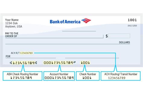 C Mo Ver Mi N Mero De Cuenta De Bank Of America En Segundos