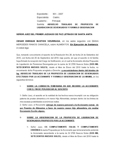 Nulidad De Acto Procesal Bustios Pdf Pensión Alimenticia Liquidación