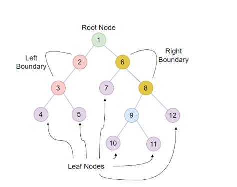 Boundary Traversal Of Binary Tree Dev Community