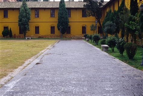 Yellow house stock image. Image of horticulturist, gardener - 4447279