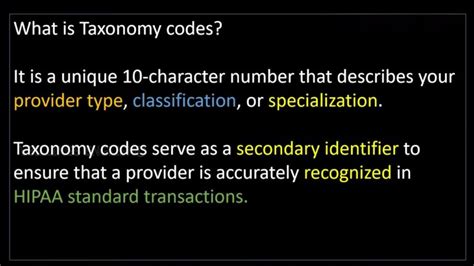 What Is A Taxonomy Code From Definition To Application