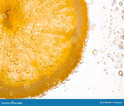 Close Up Of Lemon Slice Stock Photo Image Of Peel Bubble