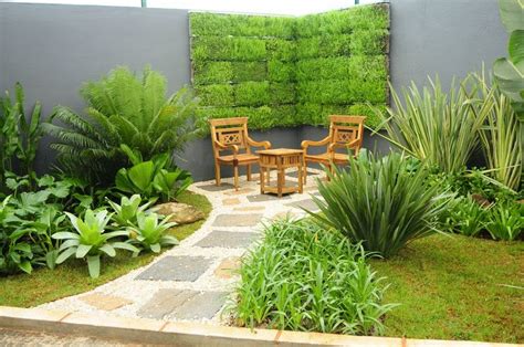 Plantas Grandes E Altas Para Jardim Decorando Casas