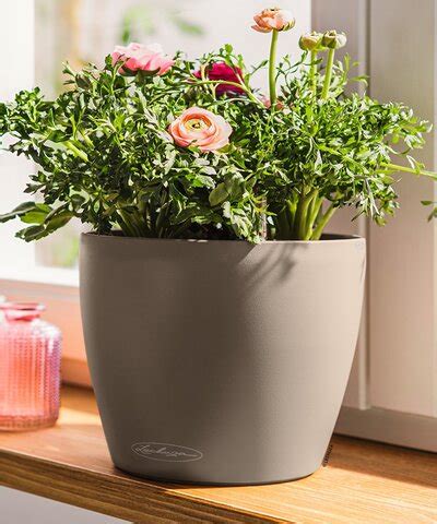 Gefäße Übertöpfe online kaufen Blumen Risse