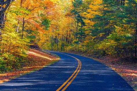 Asphalt Road Through An Autumn Forest With Colorful Leaves Stock Image