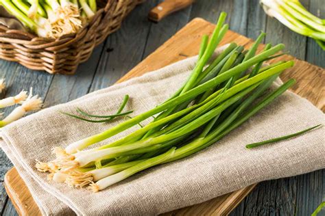 How To Store Scallions In The Refrigerator Storables