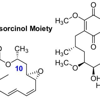 Natural Products Hsp Inhibitors A Radicicol B Geldanamycin