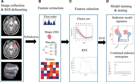 Multimodal Mri Based Radiomic Nomogram For Predicting Telome Medicine