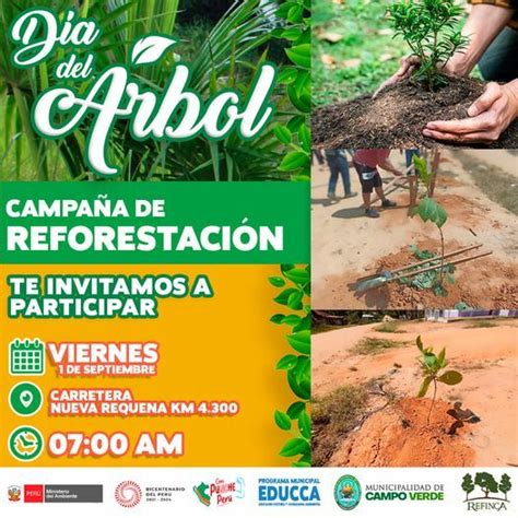 Celebremos Juntos El D A Del Arbol Campa As Municipalidad Distrital