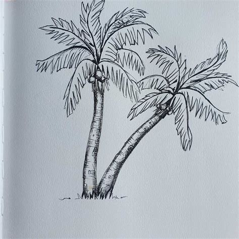 How To Draw A Palm Tree 12 Step Palm Tree Drawing Artsydee