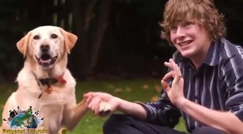 Hayvanlarla sex yapanlar Yandex Video aramada çevrimiçi izle