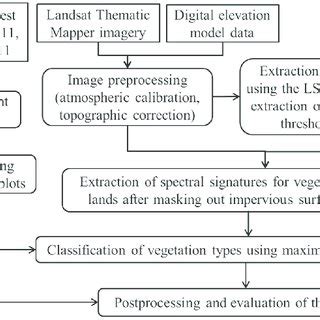 Strategy Of Vegetation Classification From Landsat 5 Thematic Mapper