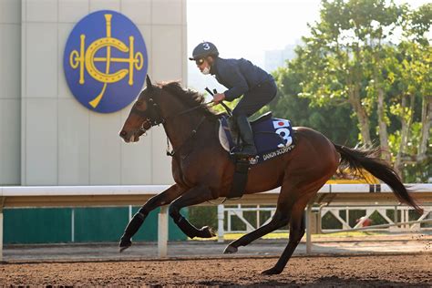 浪琴香港國際賽事週六晨操圖輯 賽馬新聞 香港賽馬會