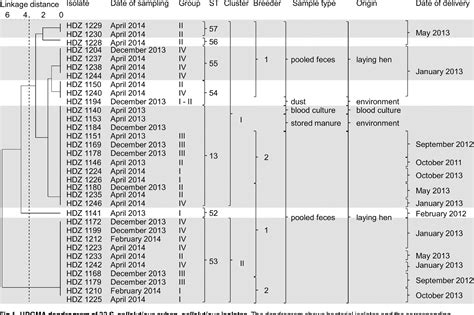 Figure 1 From Potential Transmission Pathways Of Streptococcus