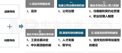 国企改革咨询：“双百”“科改”专项行动 国企改革 中大咨询