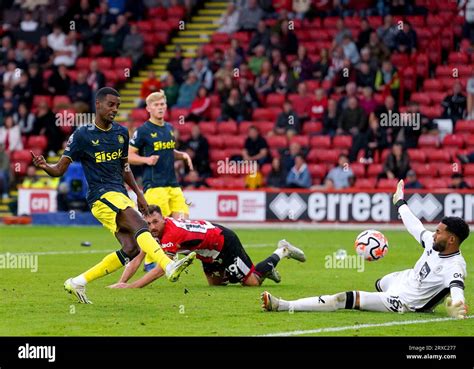 Newcastle United S Alexander Isak Scores Their Side S Eighth Goal Of The Game During The Premier