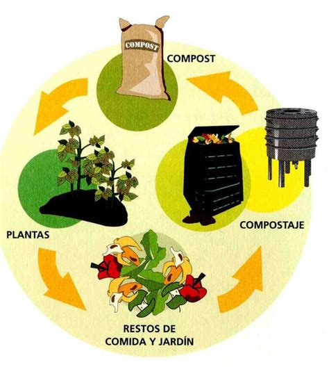 Como Hacer Compost Espacio Sustentable