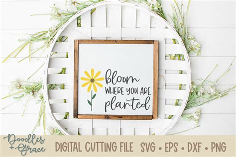 Bloom Where You Are Planted SVG EPS DXF PNG 475163 Cut Files