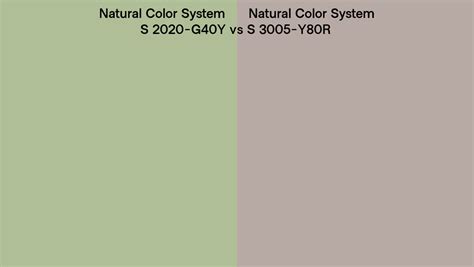 Natural Color System S 2020 G40y Vs S 3005 Y80r Side By Side Comparison