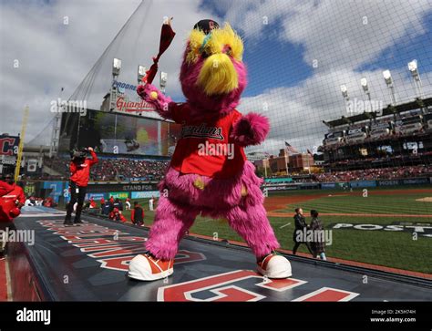 Cleveland guardians mascot hi-res stock photography and images - Alamy