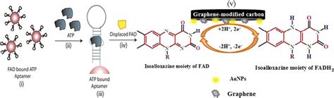 Design Of An Atp Detection System With Fad Displaced Signaling Download Scientific Diagram