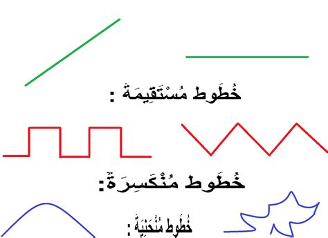 الدرس 4 أنواع الخطوط الخطُّ الْمُسْتَقِيم الْخَطُّ الْمُنْحَنِي