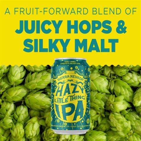 Sierra Nevada Hazy Little Thing Ipa Craft Beer 6 Cans 12 Fl Oz Fry