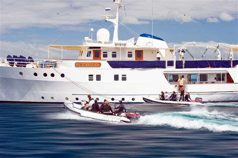 Pelagian | Liveaboard Yacht Charter in Indonesia | Indo Yachts