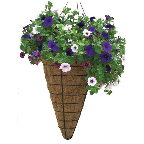 Grower Cone Hanging Planter With Aquasav Coco Liner Wire Hanger