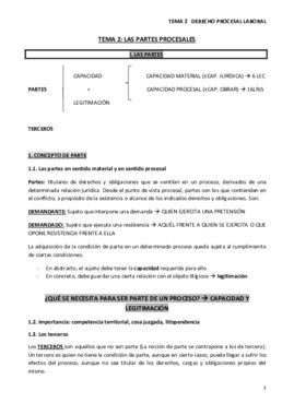 Tema Derecho Procesal Pdf