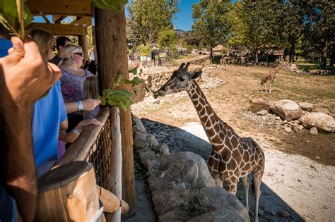 Omaha Henry Doorly Zoo Membership Henry Doorly Zoo Suzanne And Walter