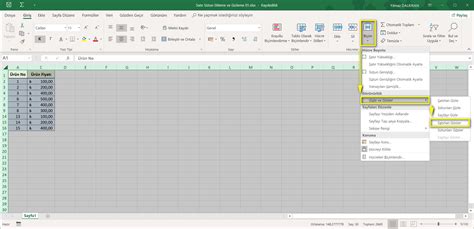 Satır Sütun Ekleme ve Gizleme Temel Düzey Excel Dersleri