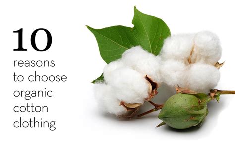 10 Reasons To Choose Organic Cotton Indigenous