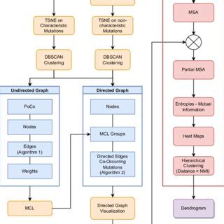 Flow diagram. Materials and methods flow illustration. | Download ...