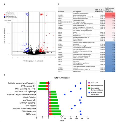 Figure Diierential Gene Expression And Pathway Analysis Of Il