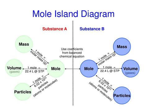 mole island diagram - CathrineAsta