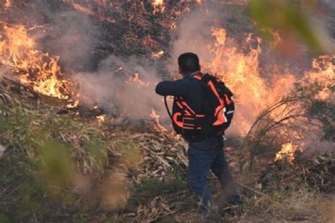 CALENTAMIENTO GLOBAL incendio forestal en Aymaraes Apurímac se