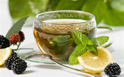 4 Best Green Tea Recipes for Weight Loss | Health Benefits & Side Effects