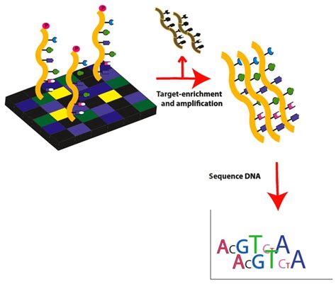 系统生物学技术服务 课题整体外包 华泰亿康