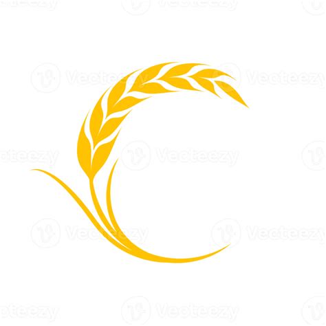 Ears Of Wheat Whole Grains For Making Bread 14570054 PNG