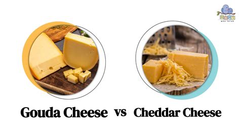 Gouda Vs Cheddar Cheese What S The Taste Difference Nutritional