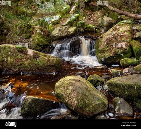 Wyming Brook Nature Reserve Peak District National Park Sheffield