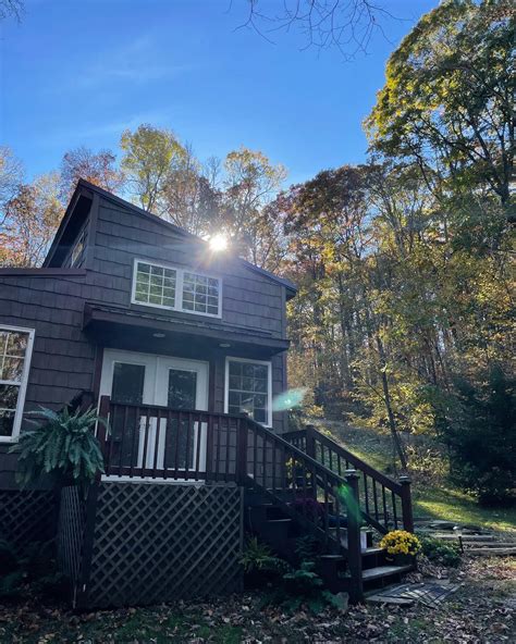 Ferns in the Forest - Hipcamp in Farmington, Pennsylvania