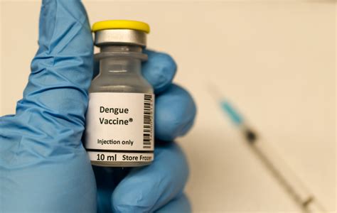 Dengue fever | How to protect yourself and your family from dengue ...