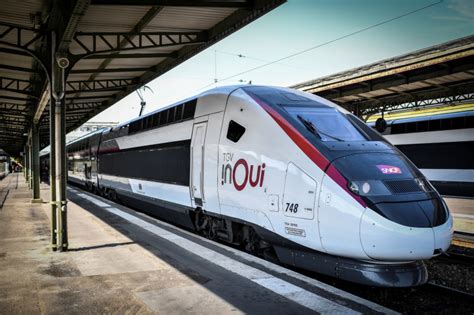 Les Infos De H Chat Cras Par Un Tgv La Sncf Condamn E Pour