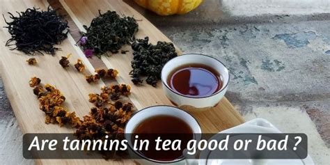 Are Tannins Good Or Bad For You ? Figuring Out If Tea Is Safe