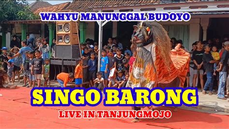 Wahyu Manunggal Budoyo Barongan Menunjukkan Aksi Nya Keren Banget